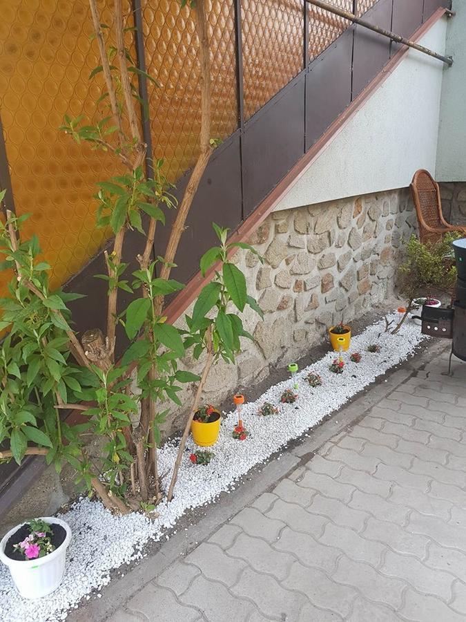 Nimrod Vendeghaz Sopron Otel Dış mekan fotoğraf